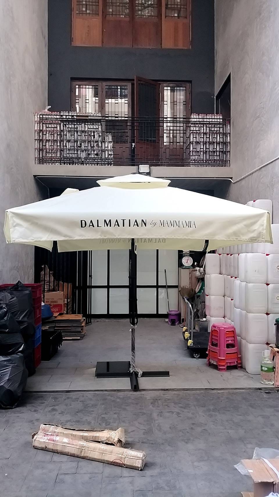 DALMATIAN by MAMMAMIA